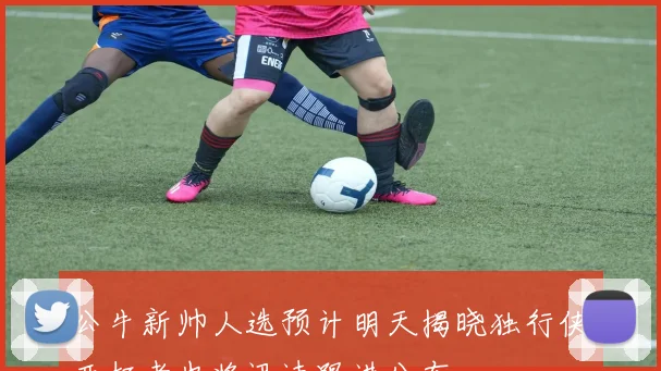 公牛新帅人选预计明天揭晓独行侠开拓者也将迅速跟进公布